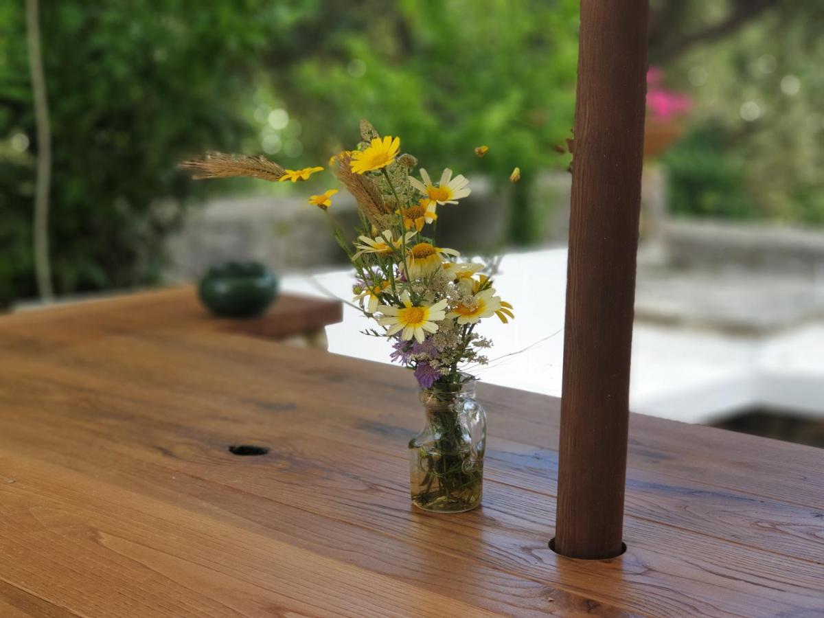 L'Antico Ulivo Villa Santa Cesarea Terme Eksteriør billede