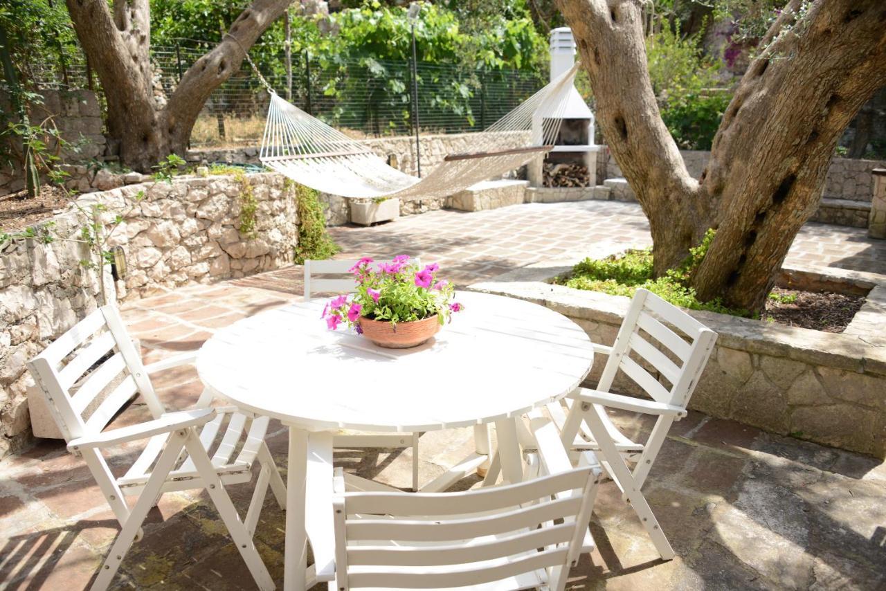 L'Antico Ulivo Villa Santa Cesarea Terme Eksteriør billede