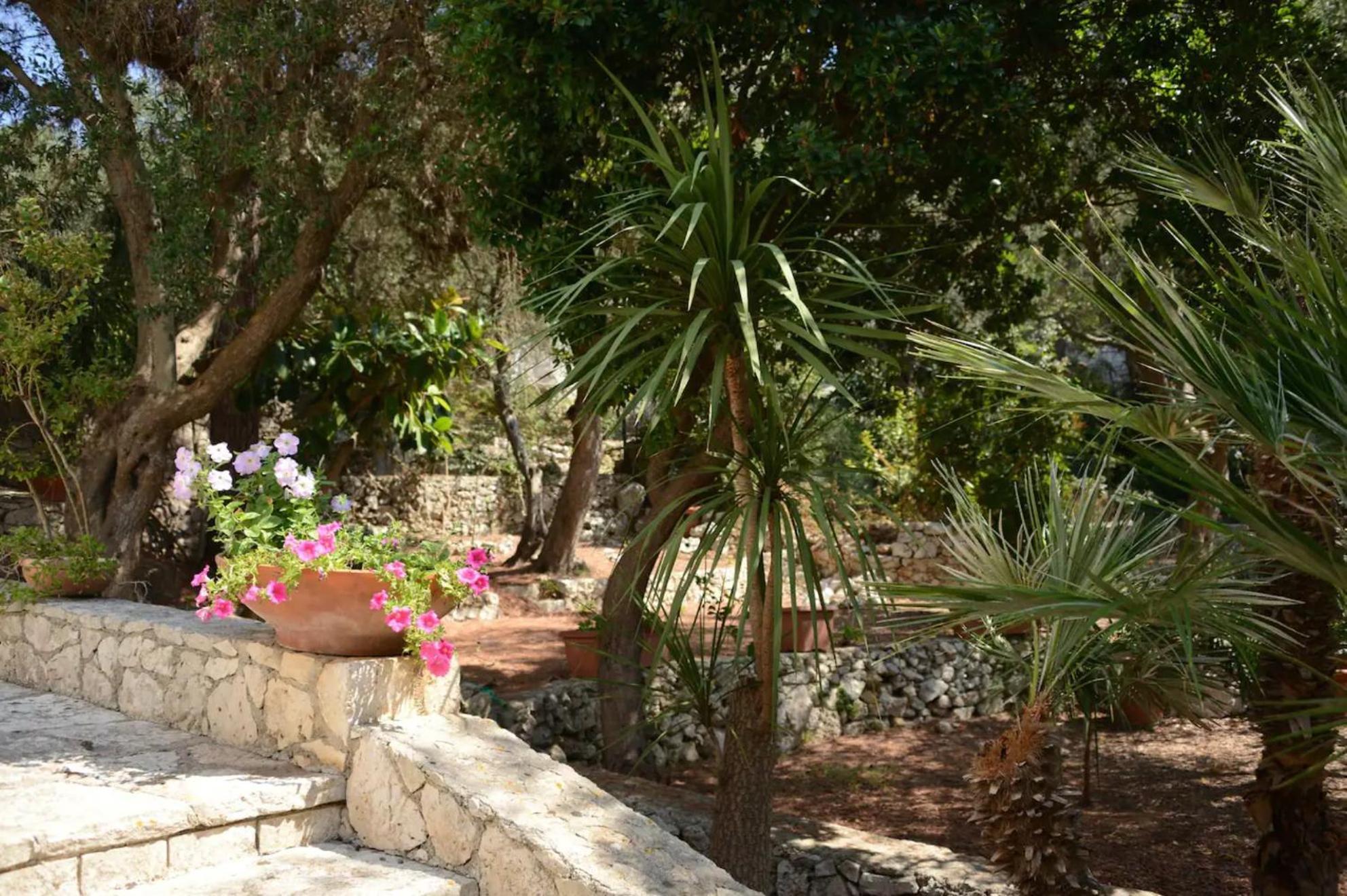 L'Antico Ulivo Villa Santa Cesarea Terme Eksteriør billede