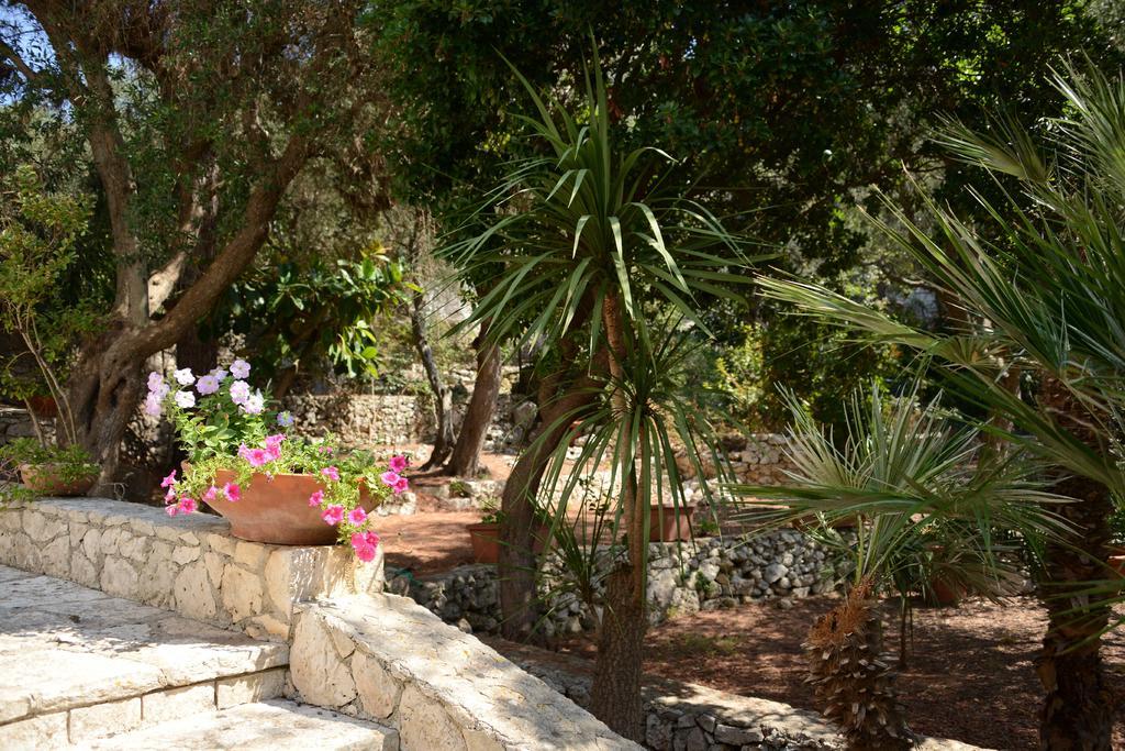 L'Antico Ulivo Villa Santa Cesarea Terme Eksteriør billede