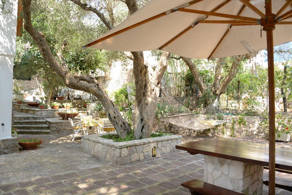 L'Antico Ulivo Villa Santa Cesarea Terme Eksteriør billede